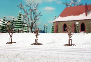 40-70951 - 10 Junge Bäume Winter