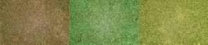 40-75591 - Streufaser Wintergras 0,5 mm