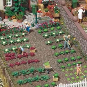 70-1213 - Kohl und Salat