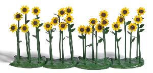 70-1240 - 24 Sonnenblumen