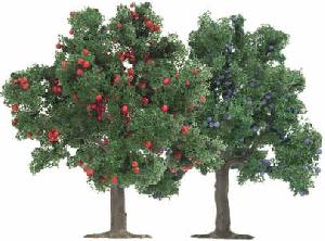 70-6649 - 2 Obstbäume 7,5cm