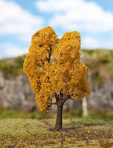 241-181207 - Spitzahorn Herbst 13,5cm