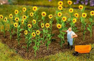 241-181256 - 16 Sonnenblumen