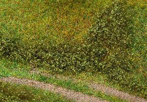 241-181618 - Blätterfoliage sommergrün