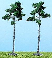 346-1150 - 2 Kiefern 16cm