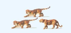 663-20380 - Tiger