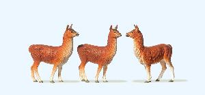 663-20389 - Lamas