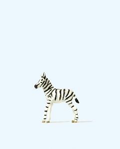 663-29504 - Junges Zebra