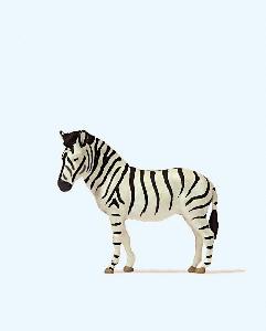 663-29529 - Zebra