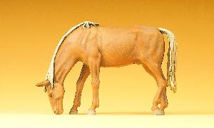 663-47023 - Pferd weidend