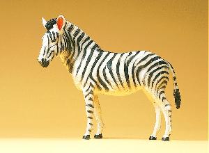 663-47529 - Zebra