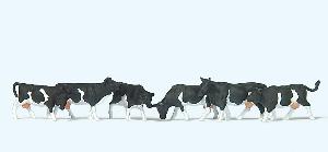 663-79228 - Kühe schwarz gefleck